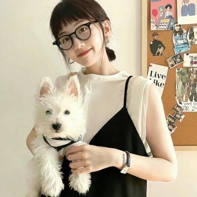 非正式会谈第五季